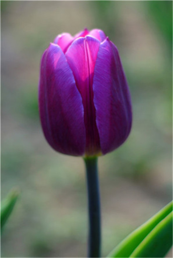 失眠的朋友，少碰这五类食物！7招让你告别熊猫眼
