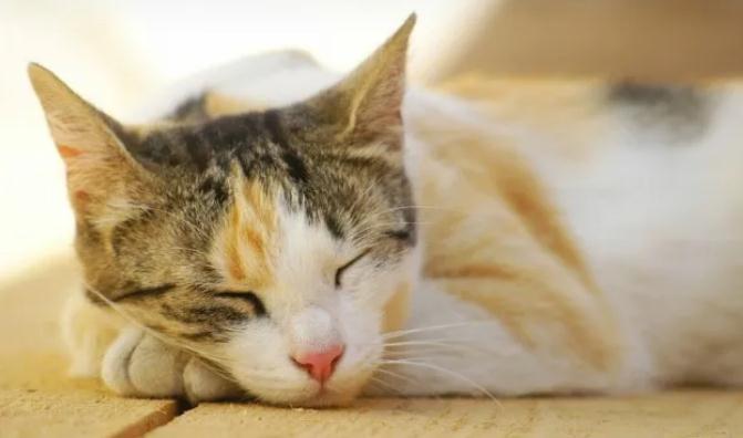 情绪低落怎么办？这4个方法帮你恢复情绪