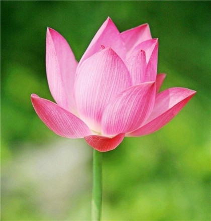 如何让孩子走出自卑心理？