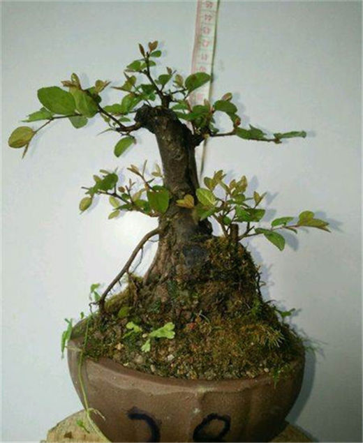 怎么管理好自己来控制抑郁发作的次数？