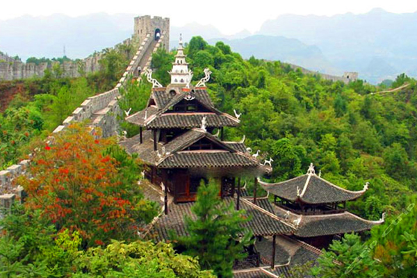 如何应对精神病的暴力行为？