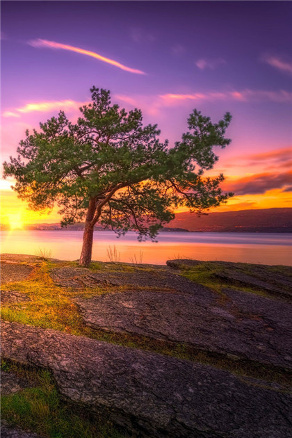 抑郁症产生的几大原因