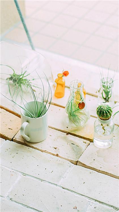 抑郁症病人的护理要注意什么?