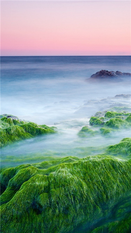 精神病的前期表现有哪些？