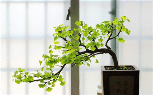 男人抑郁的特有表现