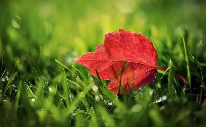 焦虑症会带来哪些危害