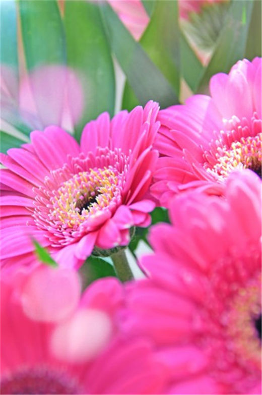 深入解析为什么“舔”不到女生