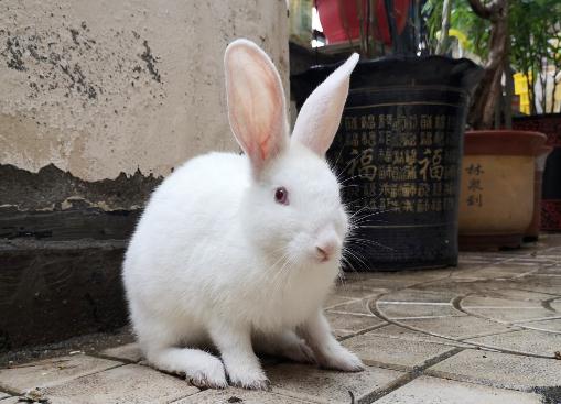 男朋友对你冷暴力，应该怎么回到从前？