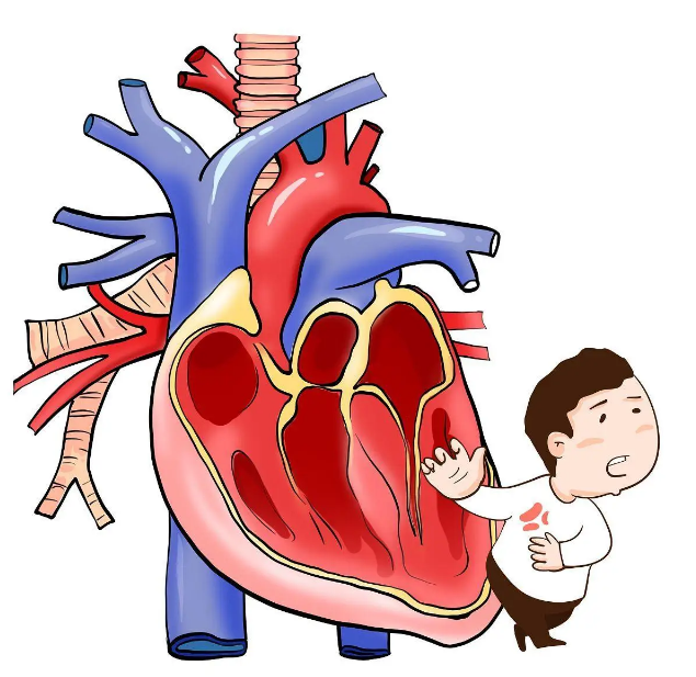 民间老中医的老偏方—冠心病的治疗方法