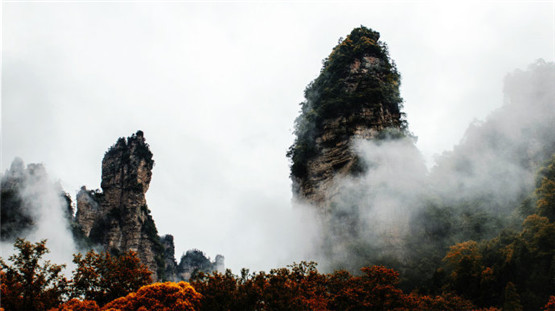 关于道教和道家的关系