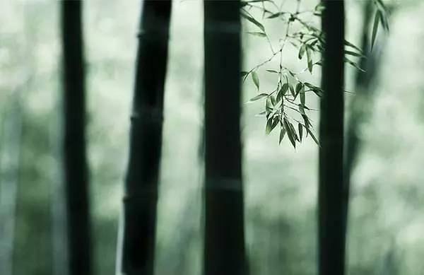 《道德经》智慧：你之所以浮躁，是因为着急