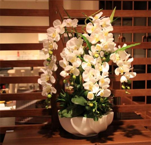 失传已久的道医音乐疗法，一曲终了，病退人安！