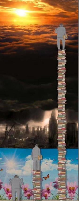 术数学习如何入门和进阶