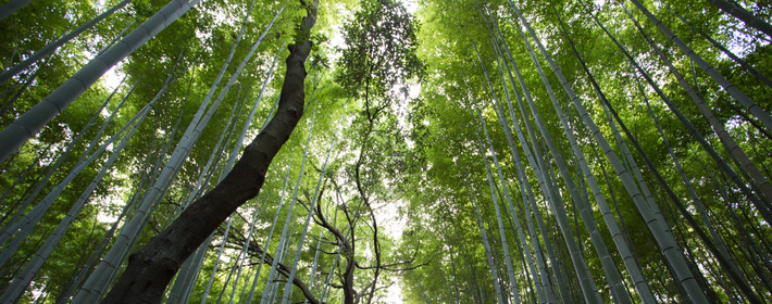 江湖算命金口诀：自己给自己看命，试试看