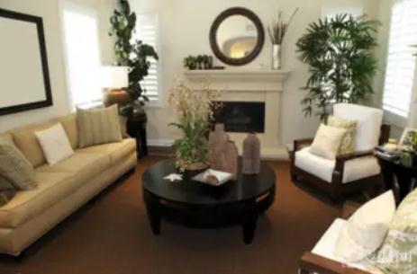 绿植放哪招财，有钱人都这么做