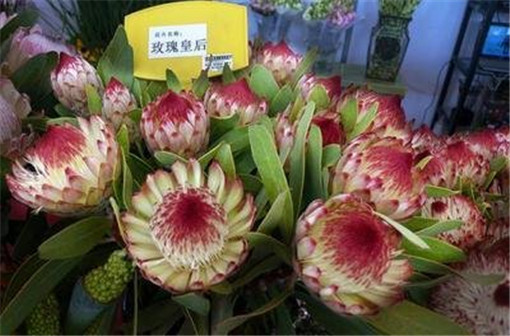 开运吧！逢凶化吉提升运势风水