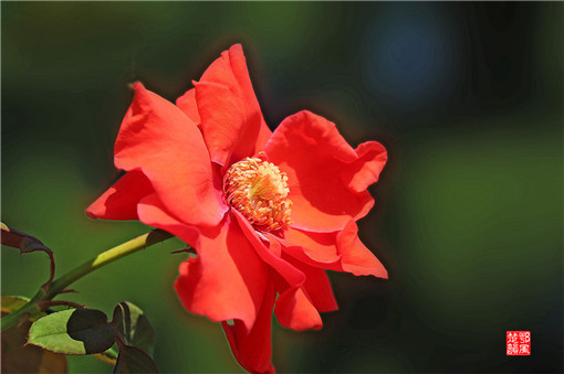 让人鸿运当头的六大风水建议