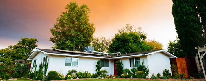 开业送什么植物？有格调显品位
