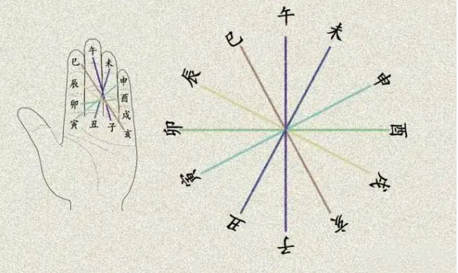 你知道吗？十二地支中有这么多学问呢