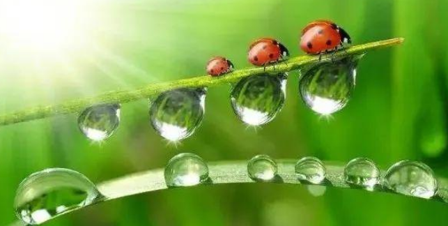 易学基础——十天干之壬癸水代表的万物类象