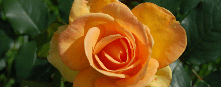 赚钱存不住？八个方法教你化解漏财的霉运！