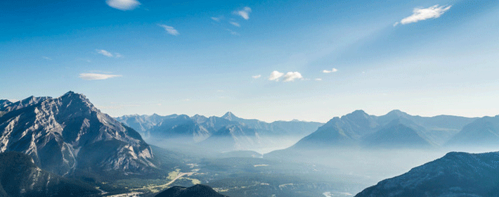 五大镇宅旺主的灵性宠物，想旺，就要看看！