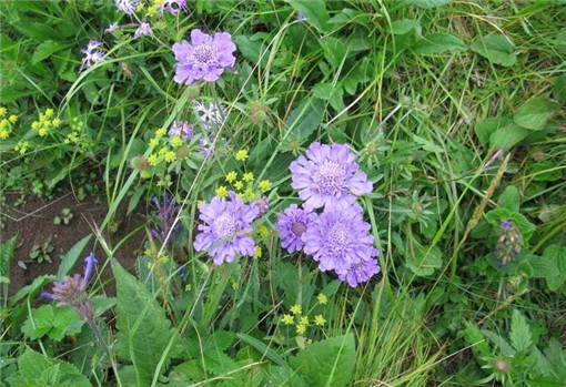 财神喜欢5个旺财风水小秘诀！