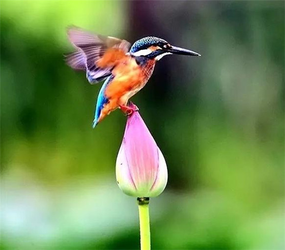 黄水晶貔貅用开光吗？