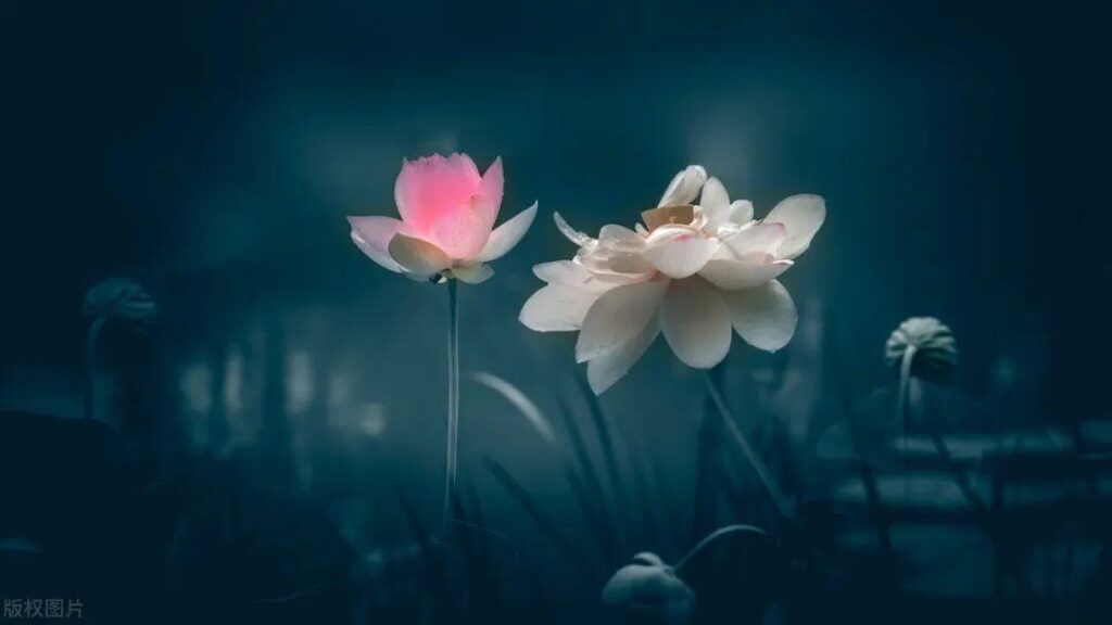 《周易》的源流（一）