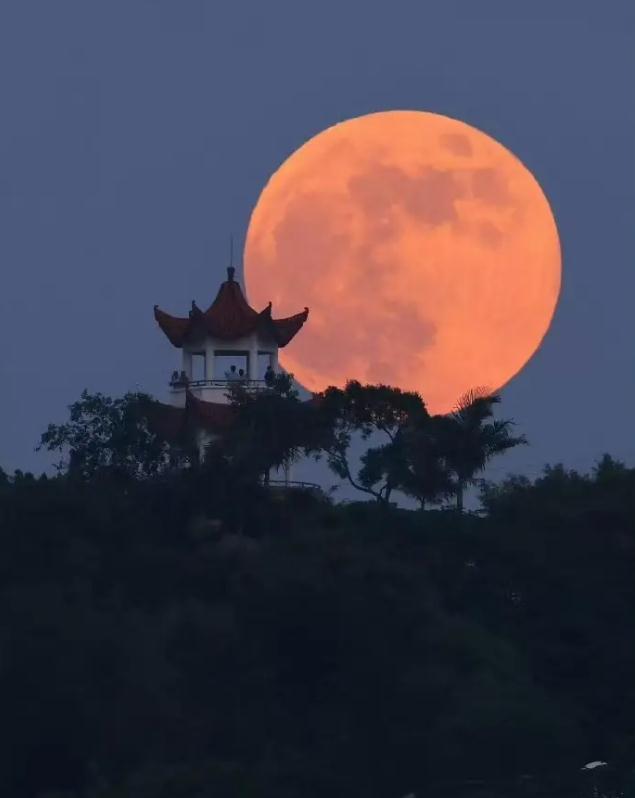 预测的科学依据是什么