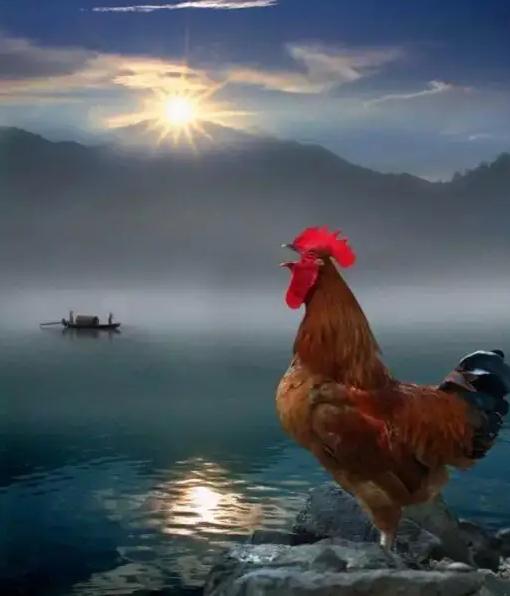 易经·需要你等待的卦