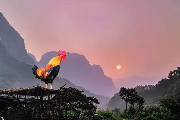 法不传六耳，神仙是怎样拜师修仙的？