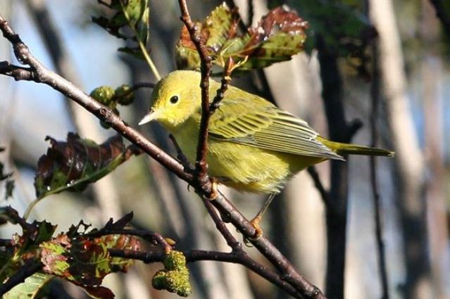 易经·学会教育蒙卦上