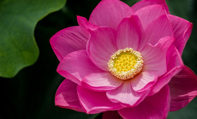 《易经·坤卦》解读：你越懂这6种大德智慧，越幸运