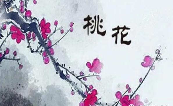 对易经卦象的学习和解读