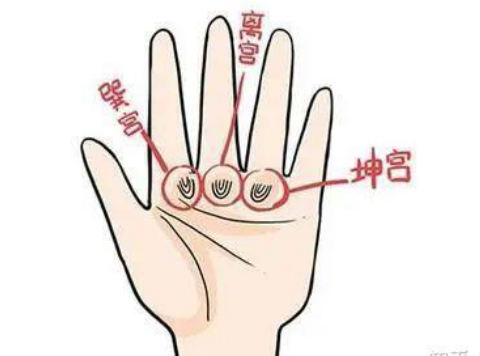 手相掌纹“密码”