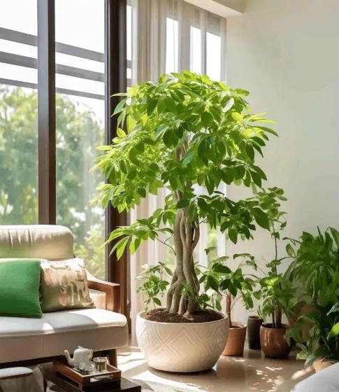 黑曜石貔貅价格多少钱?