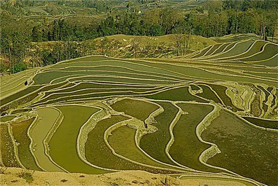 开光貔貅有什么作用？