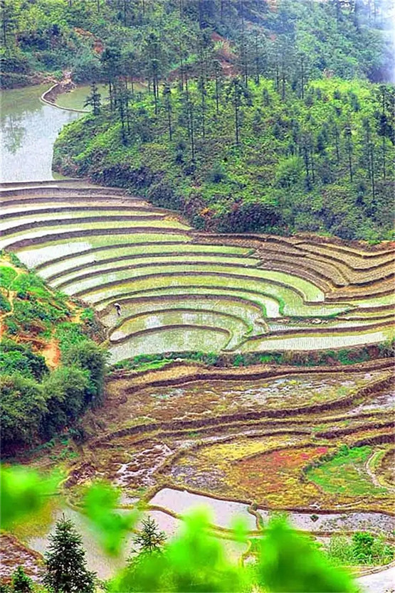 玄空飞星看地运长短，好风水都能管多少年