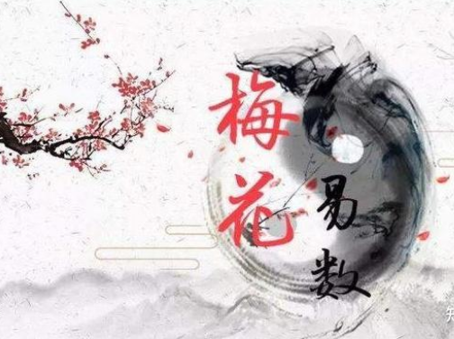 梅花易数终身卦断卦演示（包含大运，流年、亲人，阴阳宅风水等）