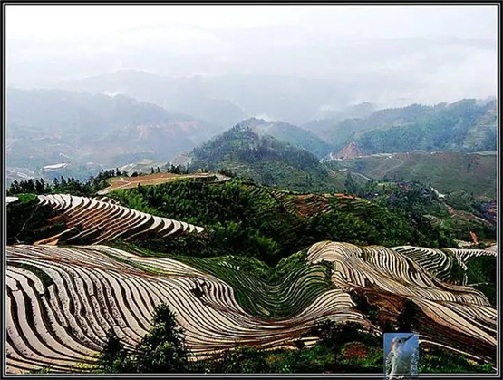 本命佛黑曜石摔碎了代表什么呢?