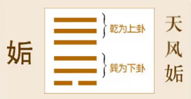 《周易》之“姤卦”