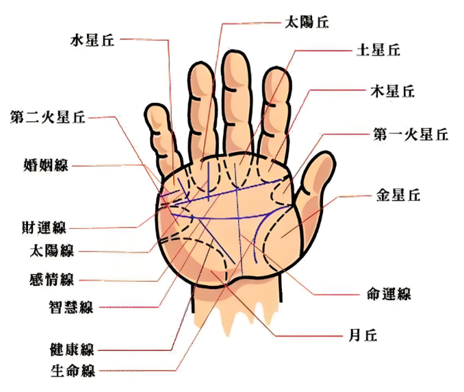 通过手相看一个女人是富贵还是贫穷