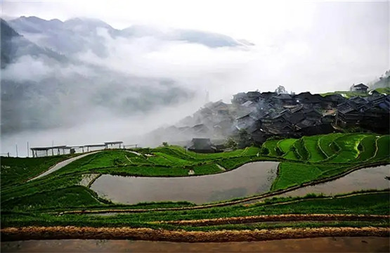 为什么说是风水决定人生运势，兼论风水与命理、运势、八字的区别