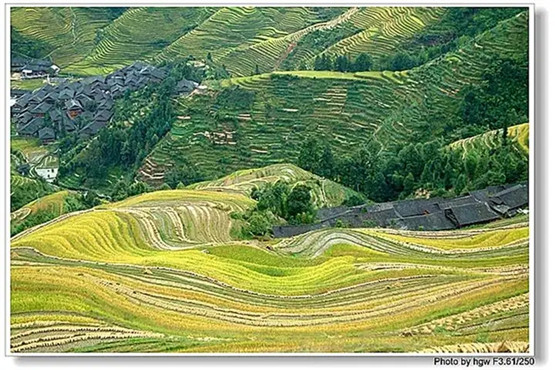 《雪心赋》经文中“三门”“五户”的正确理解