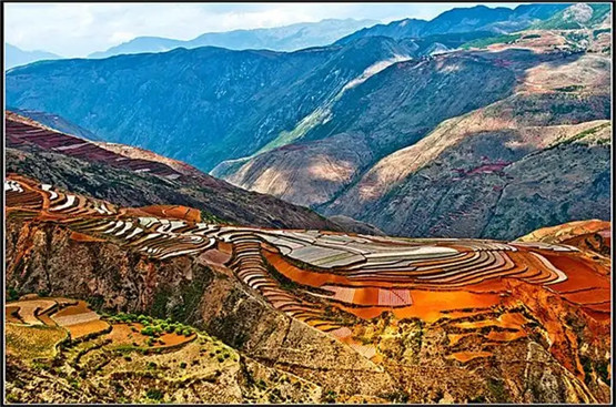 八字看“丢官罢职”的应期