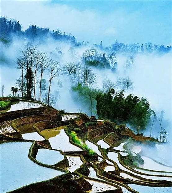 《葬经》第六段“地贵平夷，土贵有支……法葬其中，永吉无凶”正确解释