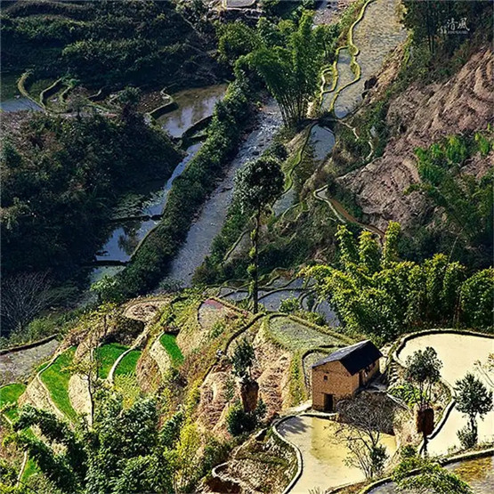 《葬经》第十七节“龙首之藏，鼻颡吉昌，角目灭亡......经曰，穴吉葬凶，与弃尸同”注解及译文