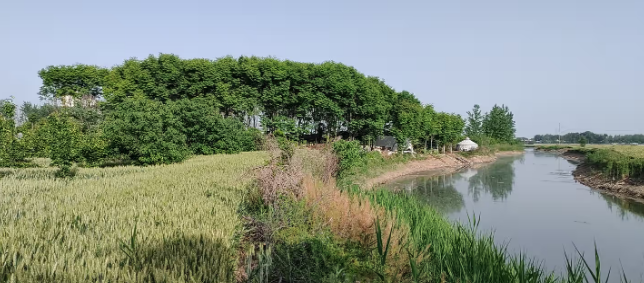 空位忌流神之空位，要符合以下情况才是正确的理解