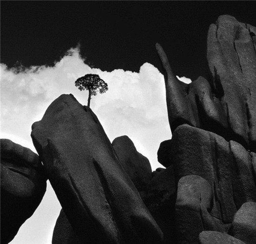 文财神与武财神的摆放有哪些讲究